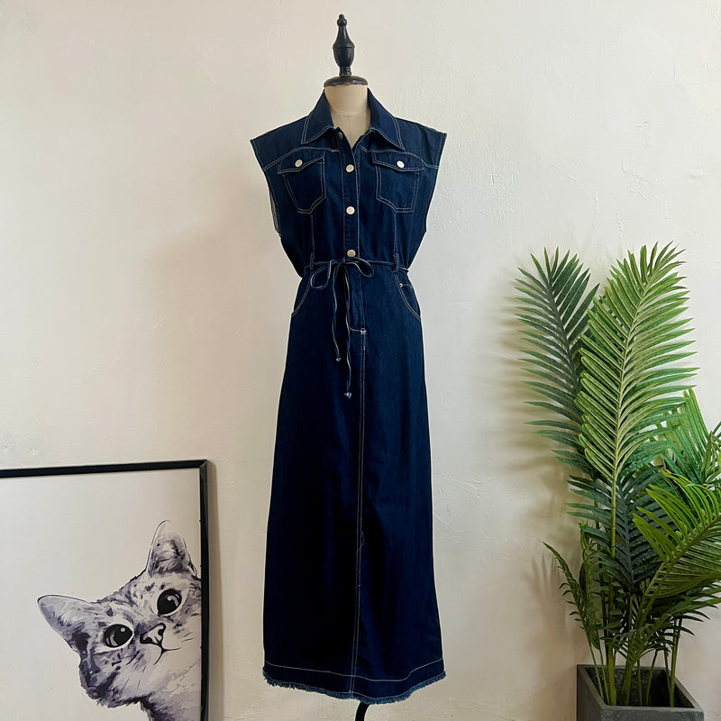 250189 - Denim Dress