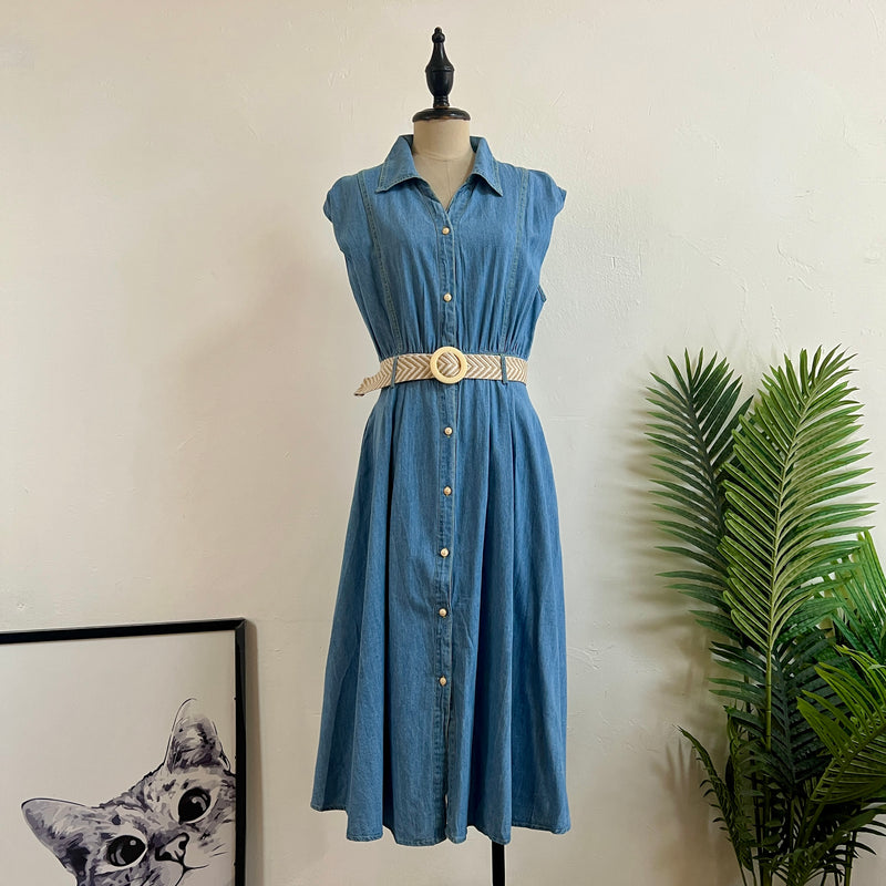 250195 - Denim Dress