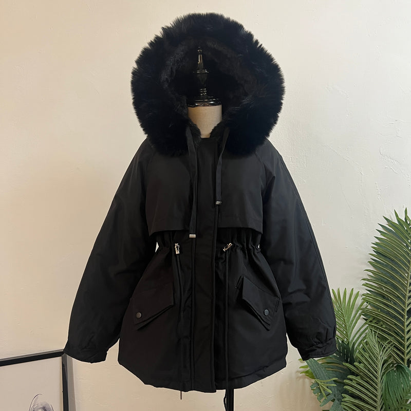 241698 - Style Jacket