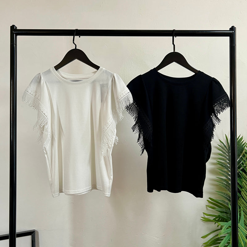 250405 - Basic Top
