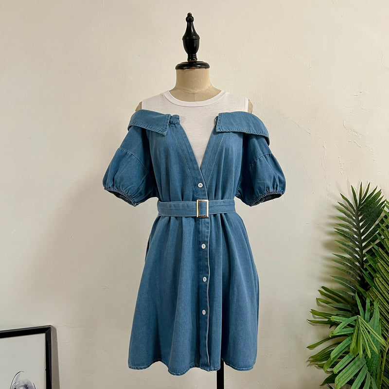 250423 - Denim Dress