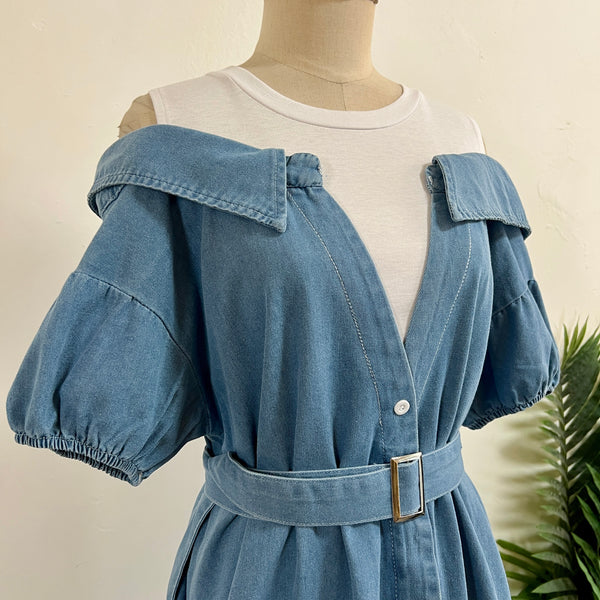 250423 - Denim Dress