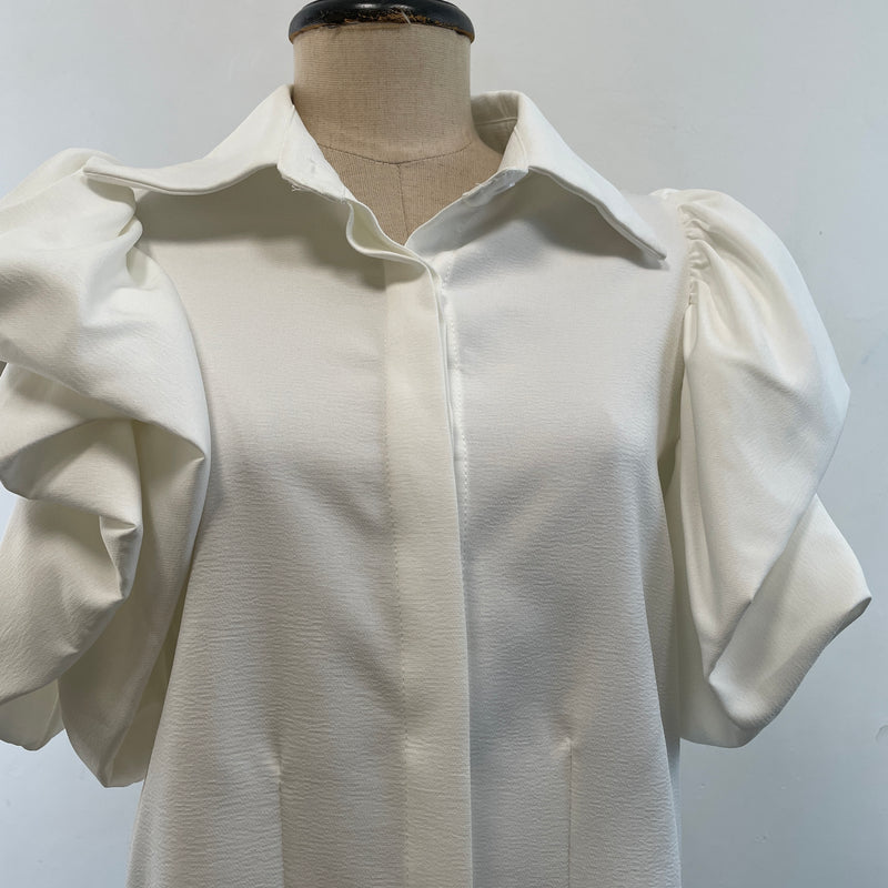 220289 - Puffy Sleeves Shirt Top